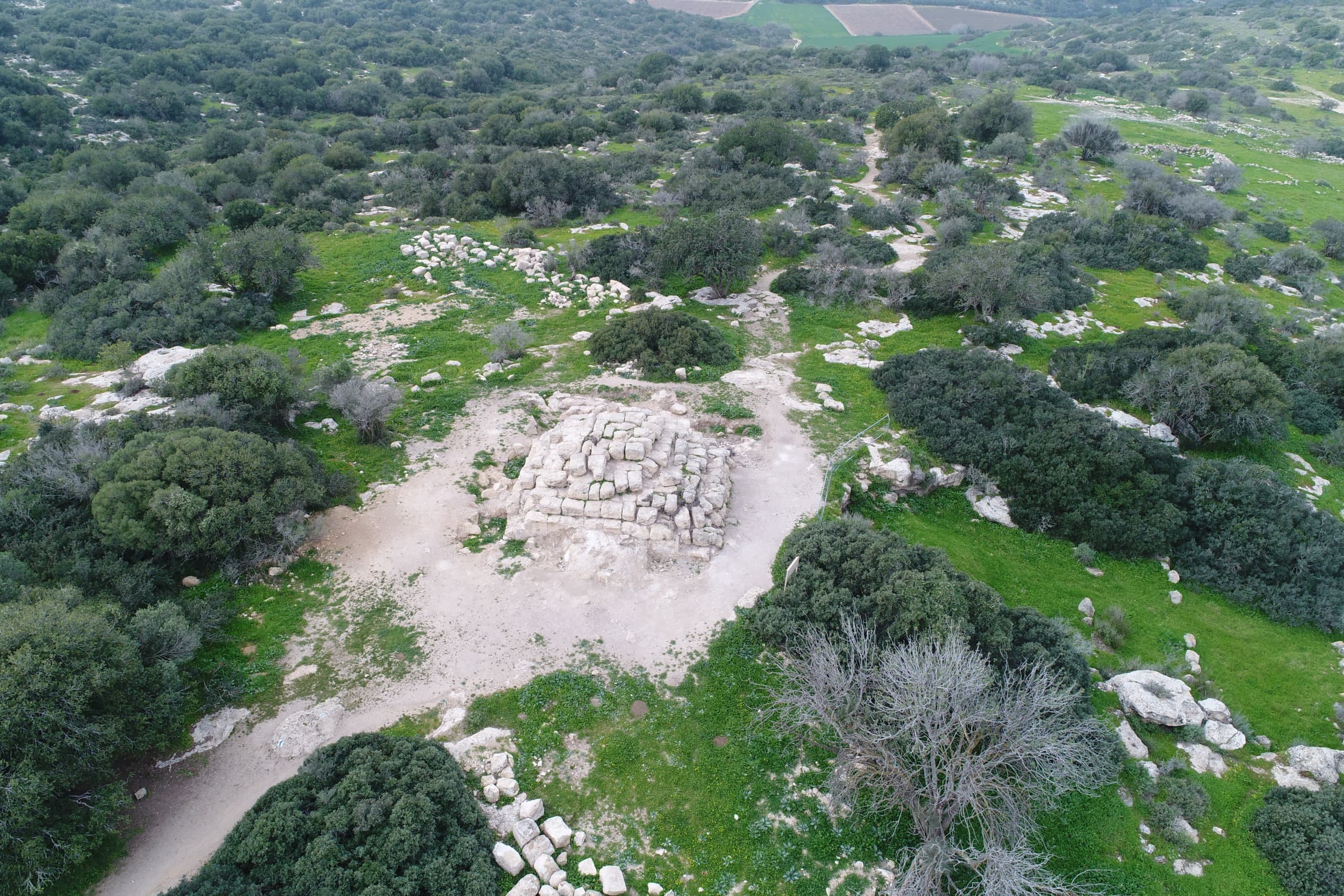חיבורים עם סתיו בטבע נשים גאות